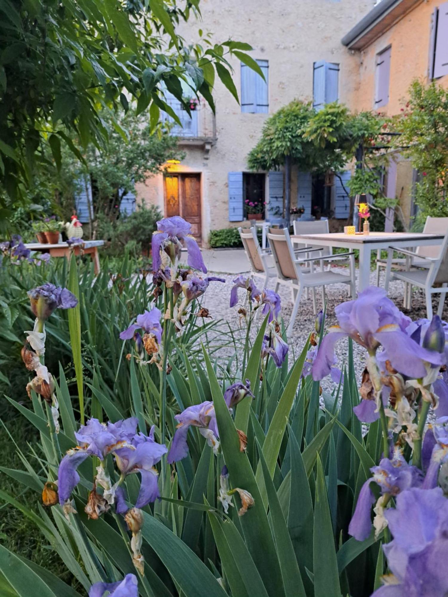 Casadesergio Refrontolo Extérieur photo